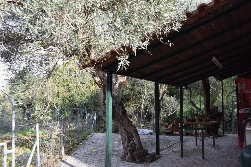شقة Ολόκληρος Όροφος Αγροτική Οικία نيوس بيرغوس المظهر الخارجي الصورة