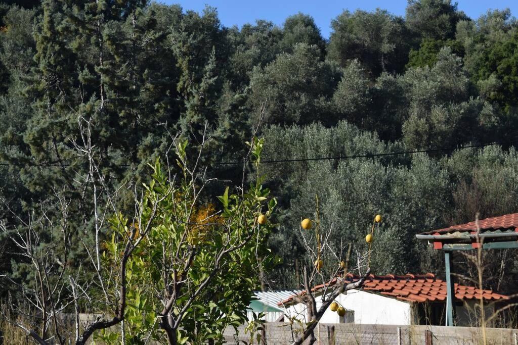 شقة Ολόκληρος Όροφος Αγροτική Οικία نيوس بيرغوس المظهر الخارجي الصورة